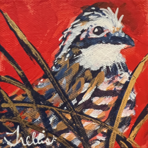 Open image in slideshow, Bobwhite Buddies 4&quot;x4&quot; Tiny Paintings by Trellis Payne
