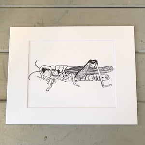 Pictured is a print by artist Charlie Hart sold at The Hare & The Hart in downtown Thomasville, Georgia. It is an 8" x 10" print, matted to 11" x 14", of a pen-and-ink grasshopper.