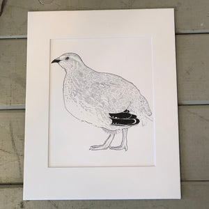 Pictured is a print by artist Charlie Hart sold at The Hare & The Hart in downtown Thomasville, Georgia. It is an 8" x 10", matted to 11" x 14", print of a pen-and-ink quail.