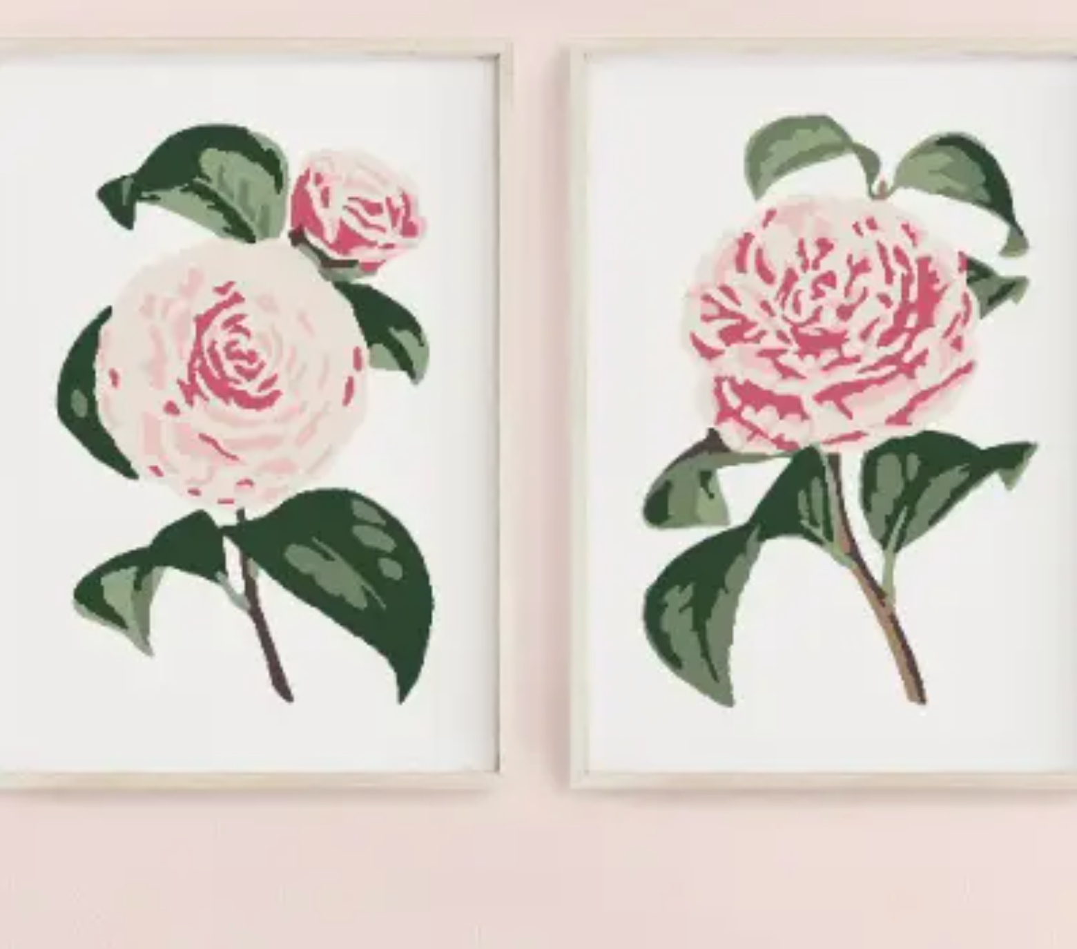 Camellia Blooms Paint-by-Numbers Kit