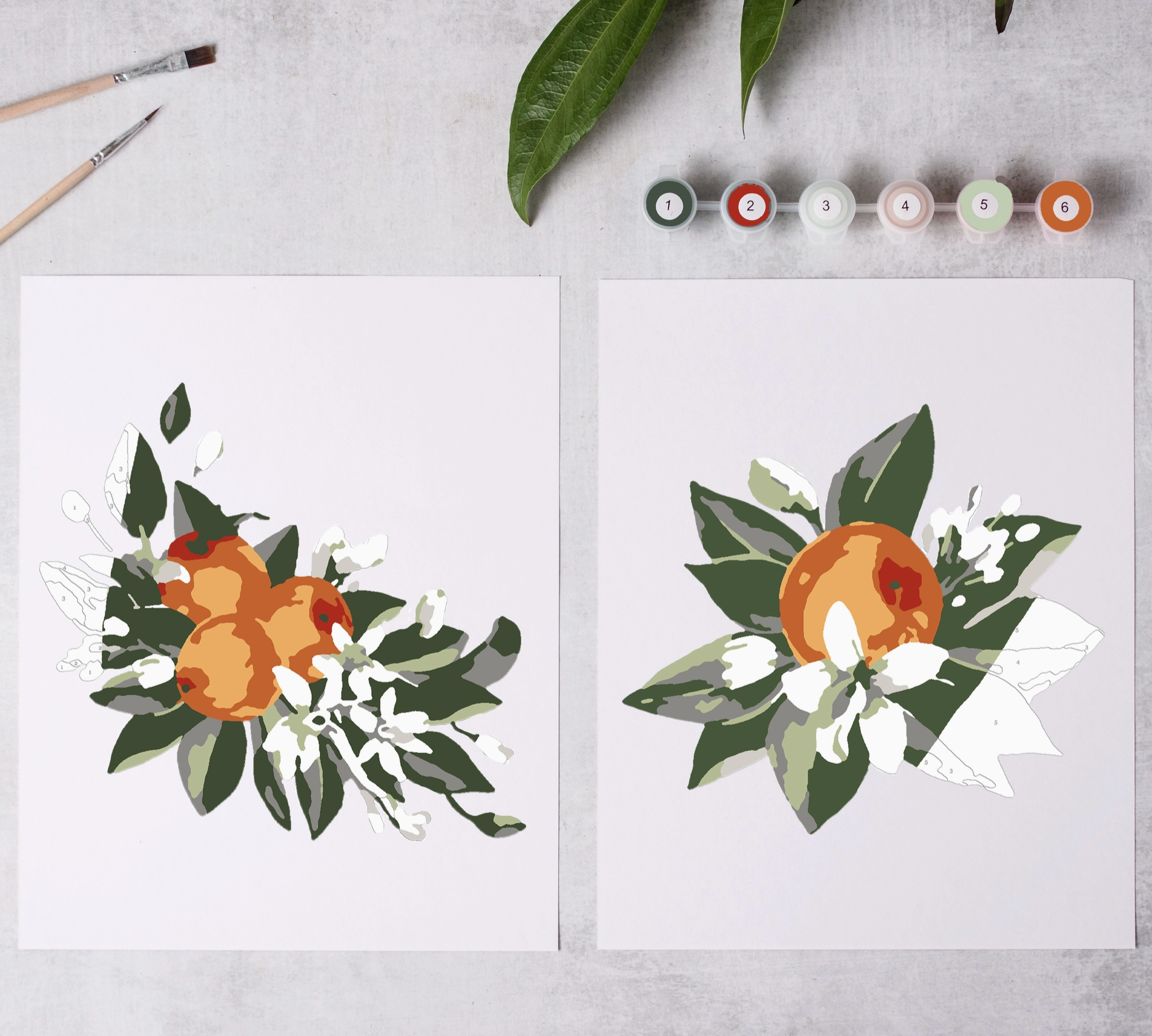 Orange Blossoms Paint-by-Numbers Kit