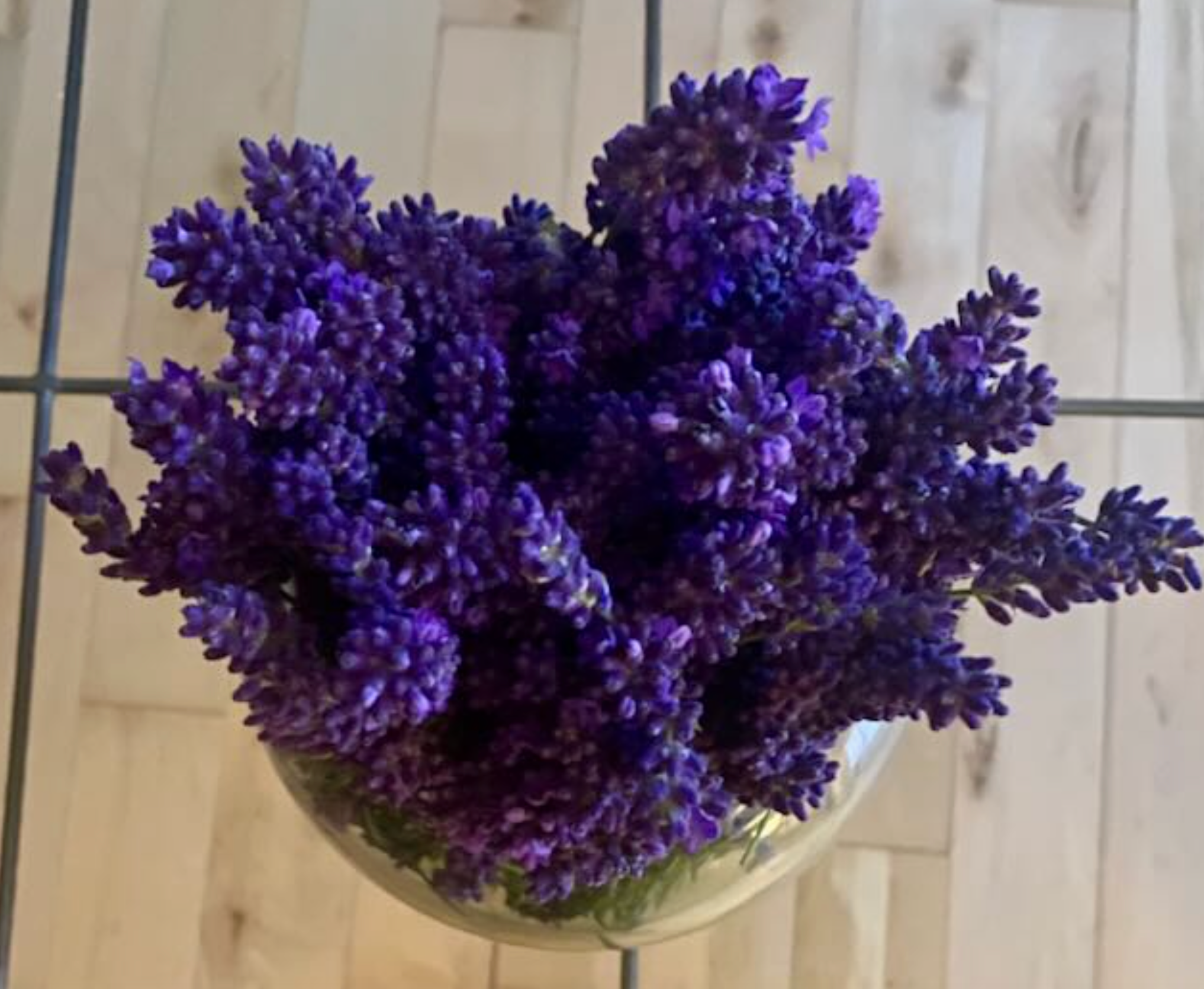Preserved English Lavender Bouquet
