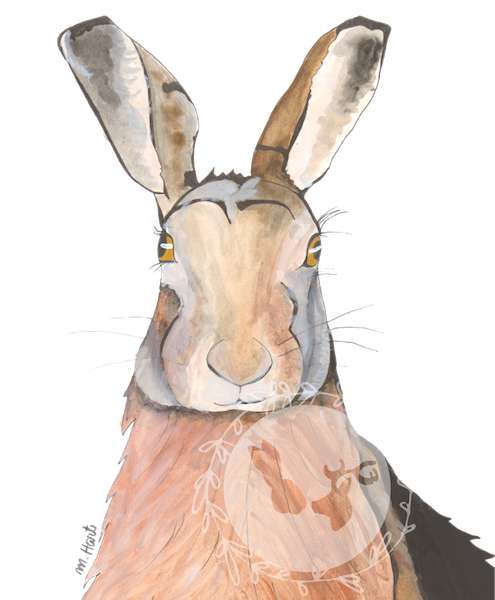 Pictured is a watercolor and pen & ink design of a hare or rabbit.