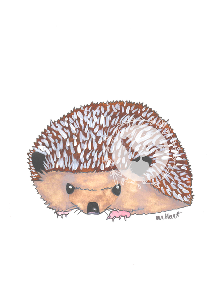 There is a watercolor painting of a hedgehog.