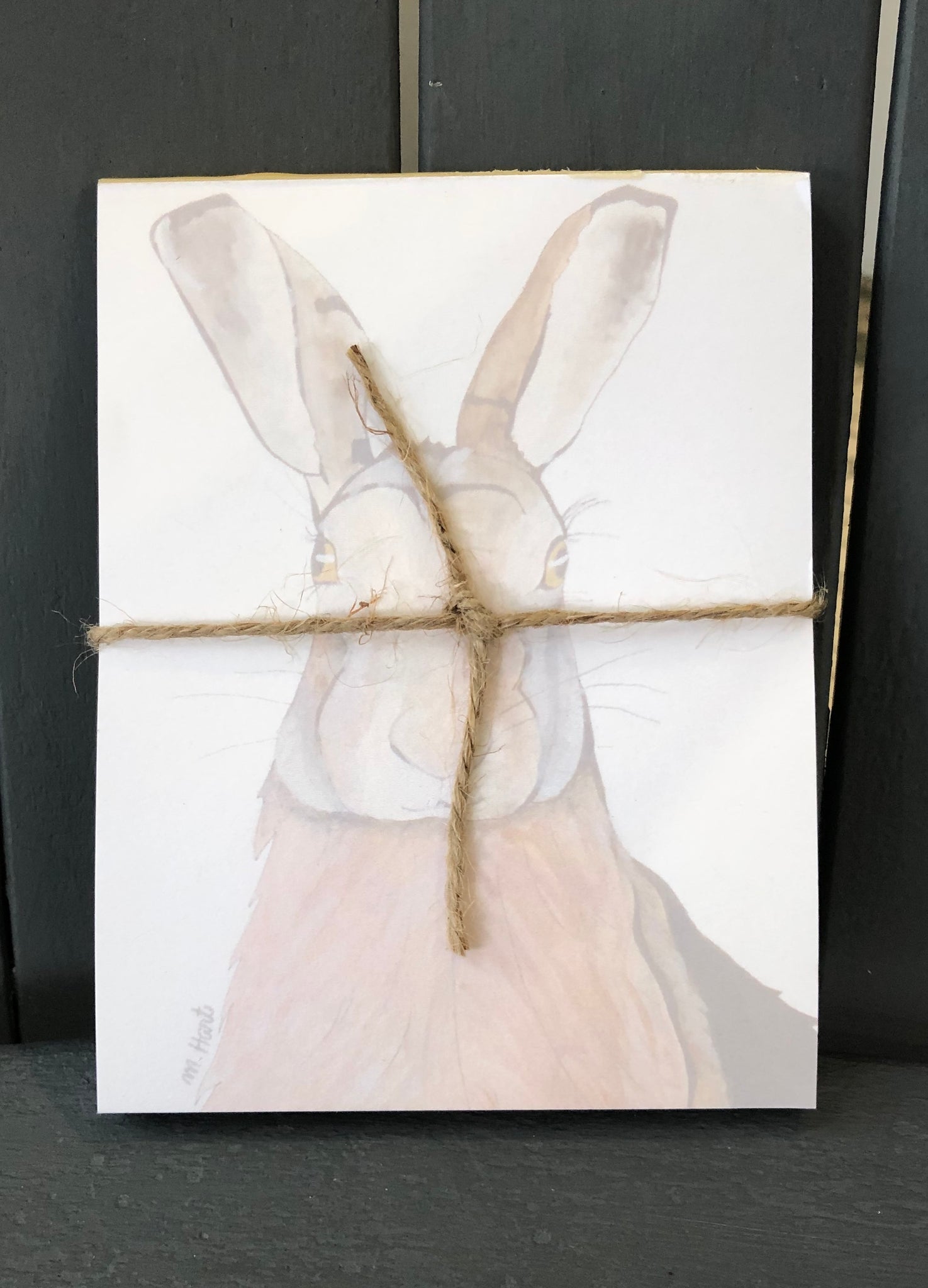 There is a notepad tied together with twice. The paper of the notepad is printed with a design of a hare or a rabbit.