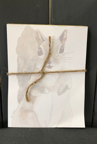 There is a notepad tied together with twice. The paper of the notepad is printed with a design of a squirrel.