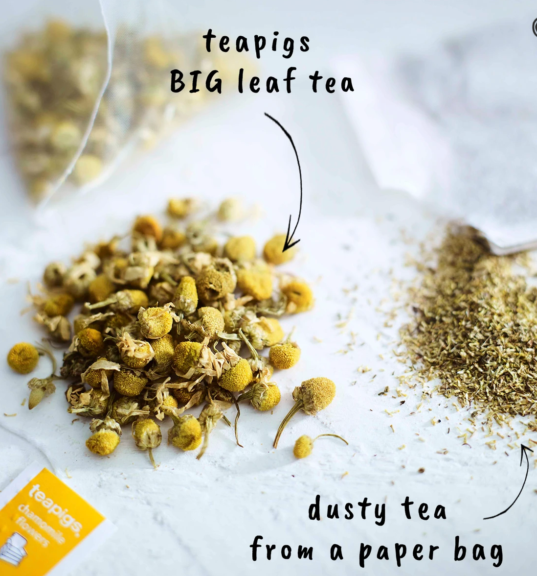 There are chamomile leaves and flowers gathered on a surface. There's an arrow pointing toward them with the words "teapigs BIG leaf tea." There is a pile of ground tea leaves with an arrow pointed toward them that says "dusty tea from a paper bag."