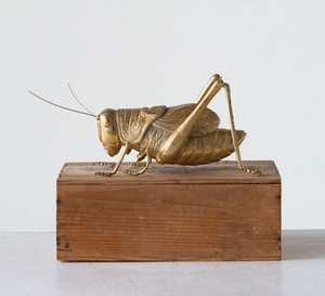 There is a gold-colored, realistic cricket statue sitting on top of a rectangular wooden base. It is photographed from the side. This is a Cricket Statue sold at The Hare & The Hart.