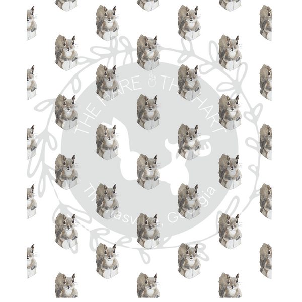 Squirrel Sherpa Blanket