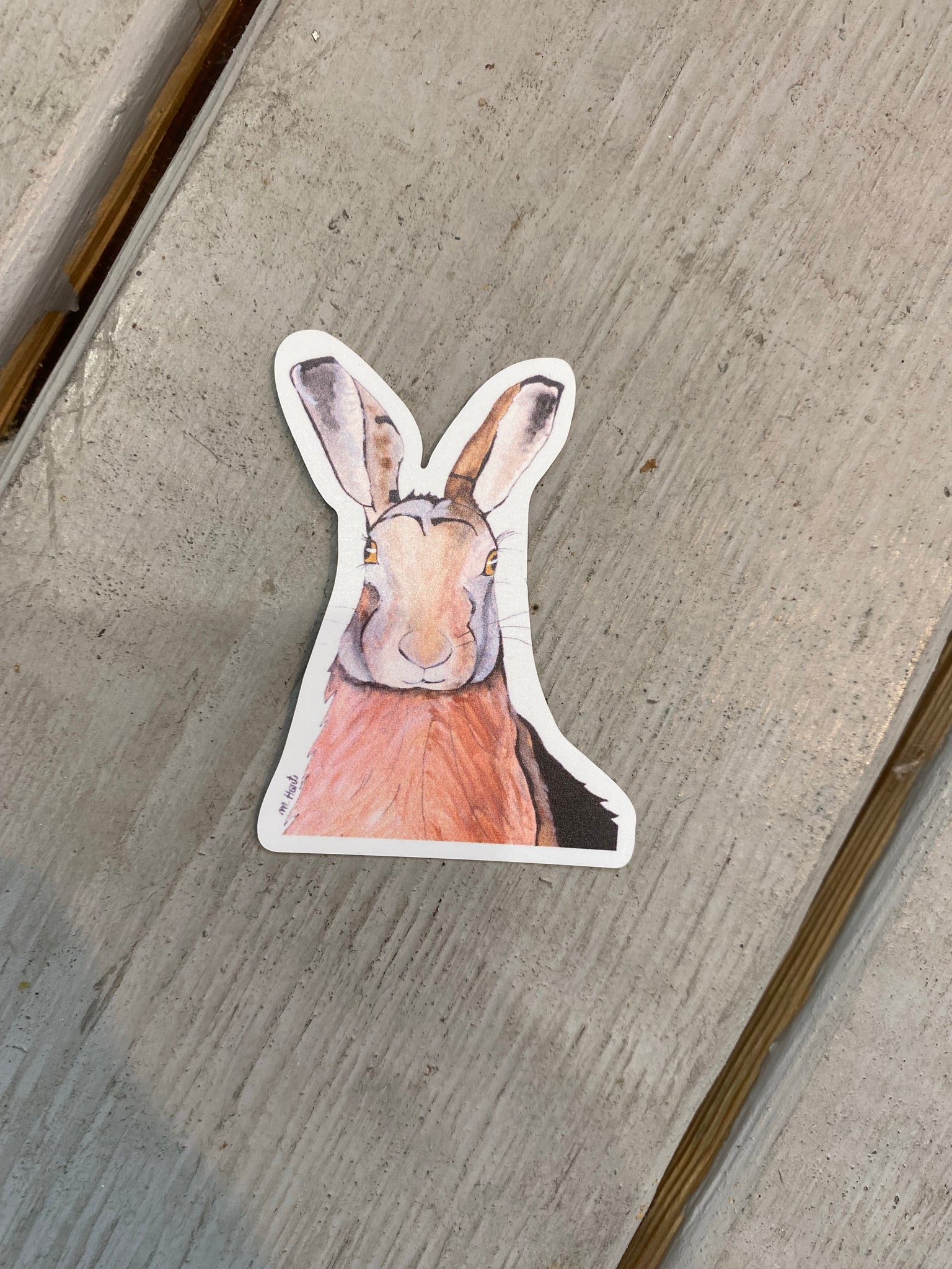 Woodland Creatures Stickers