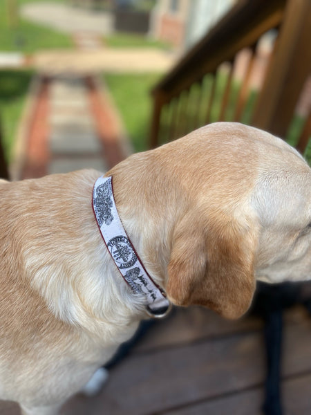 Toile of FSU™ Collar